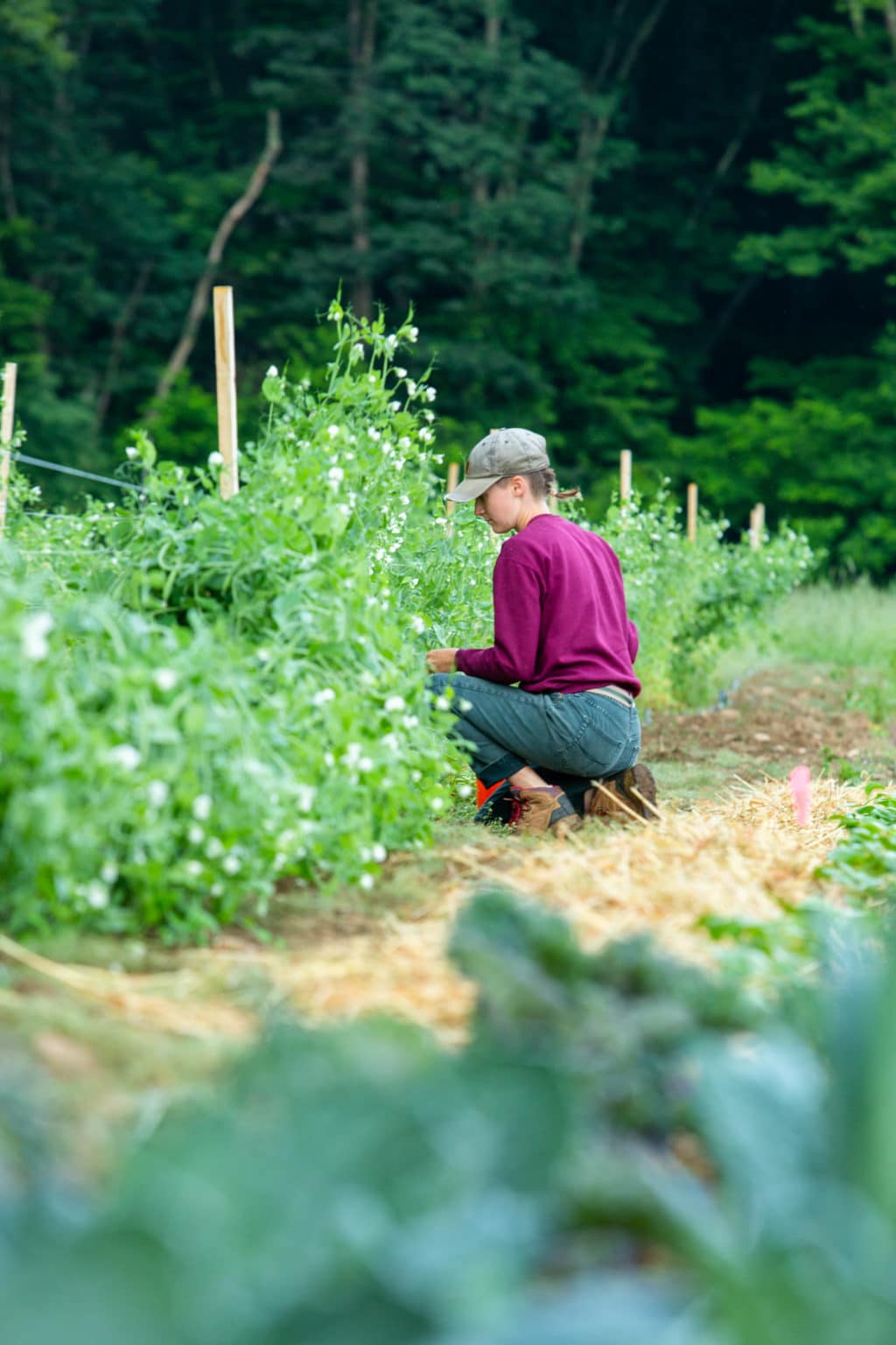 Barlow Nature Preserve
