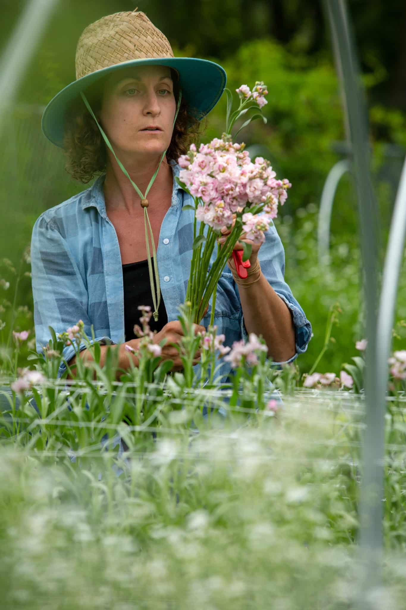 Barlow Nature Preserve