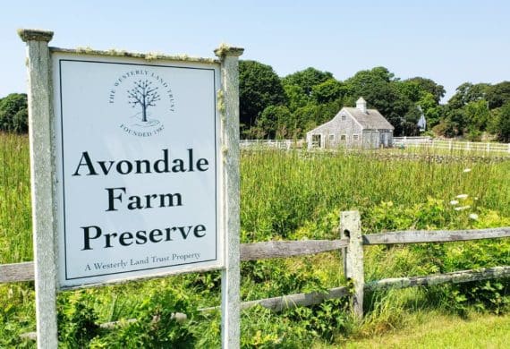 Avondale Farm Preserve
