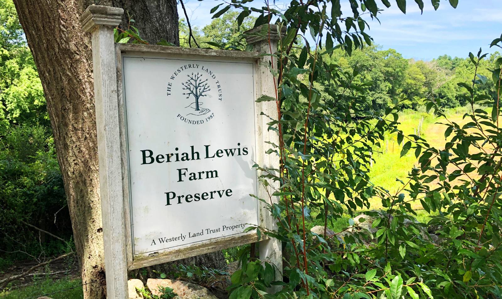 Beriah Lewis Farm Preserve