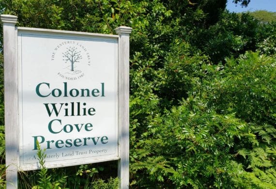 Colonel Willie Cove Preserve
