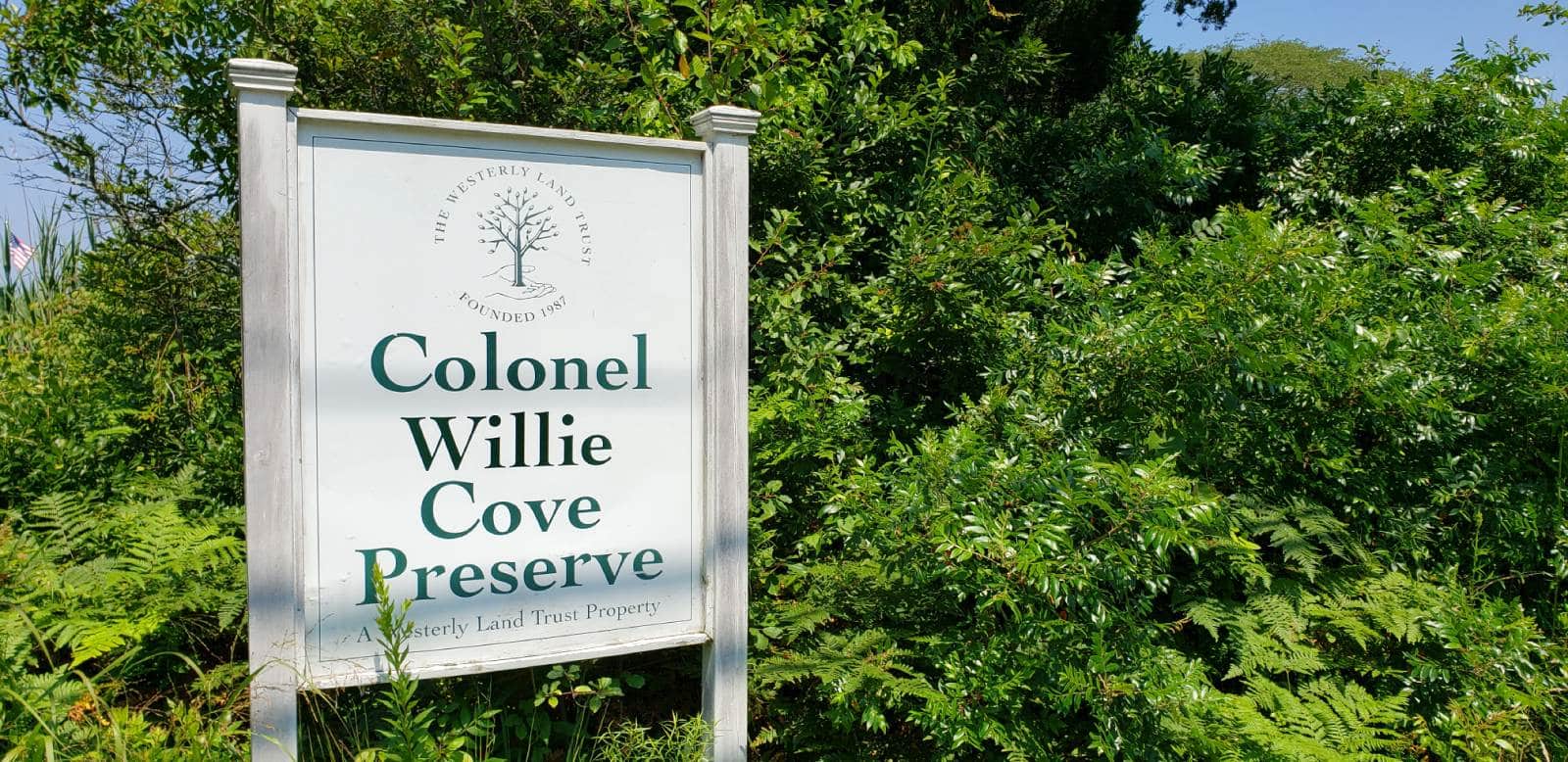 Colonel Willie Cove Preserve