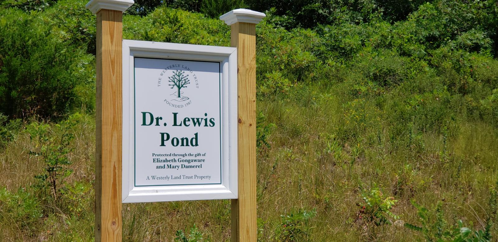 Dr Lewis Pond Preserve