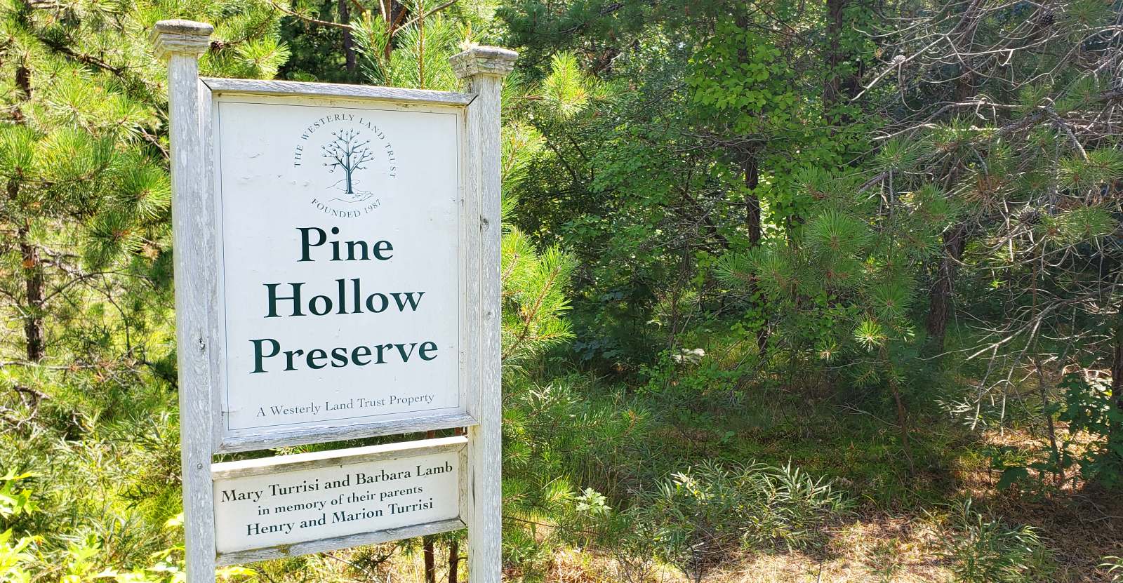 Pine Hollow Preserve
