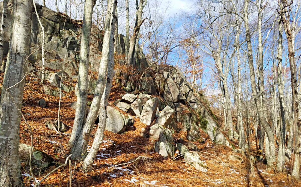 Riverwood Preserve