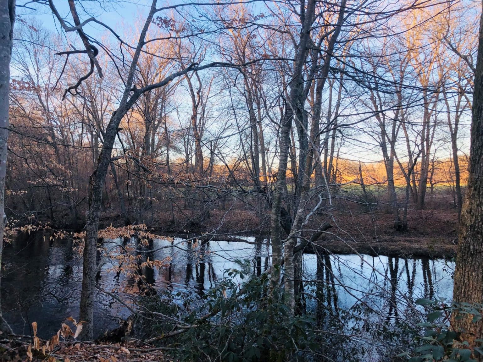 Cottrell Family Preserve