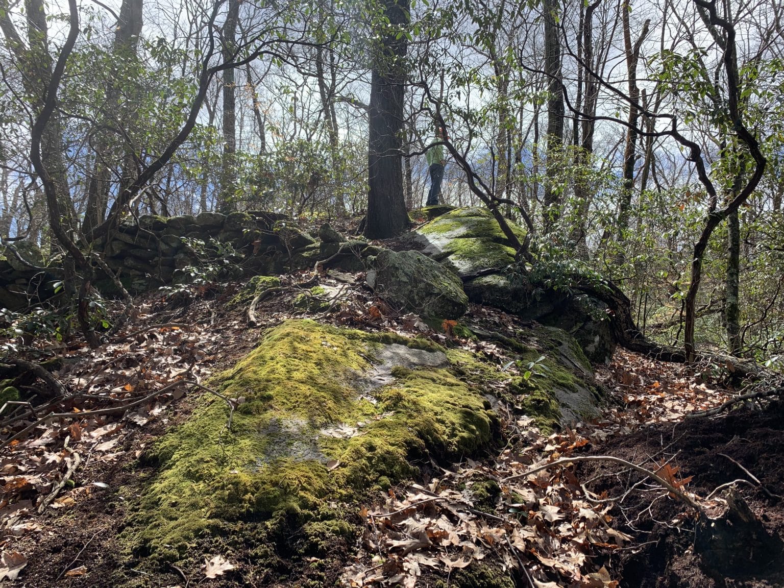 Cottrell Family Preserve