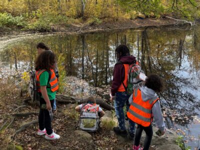 Girl Scouts observing a pond at Grills Preserve during a program with the Westerly Land Trust