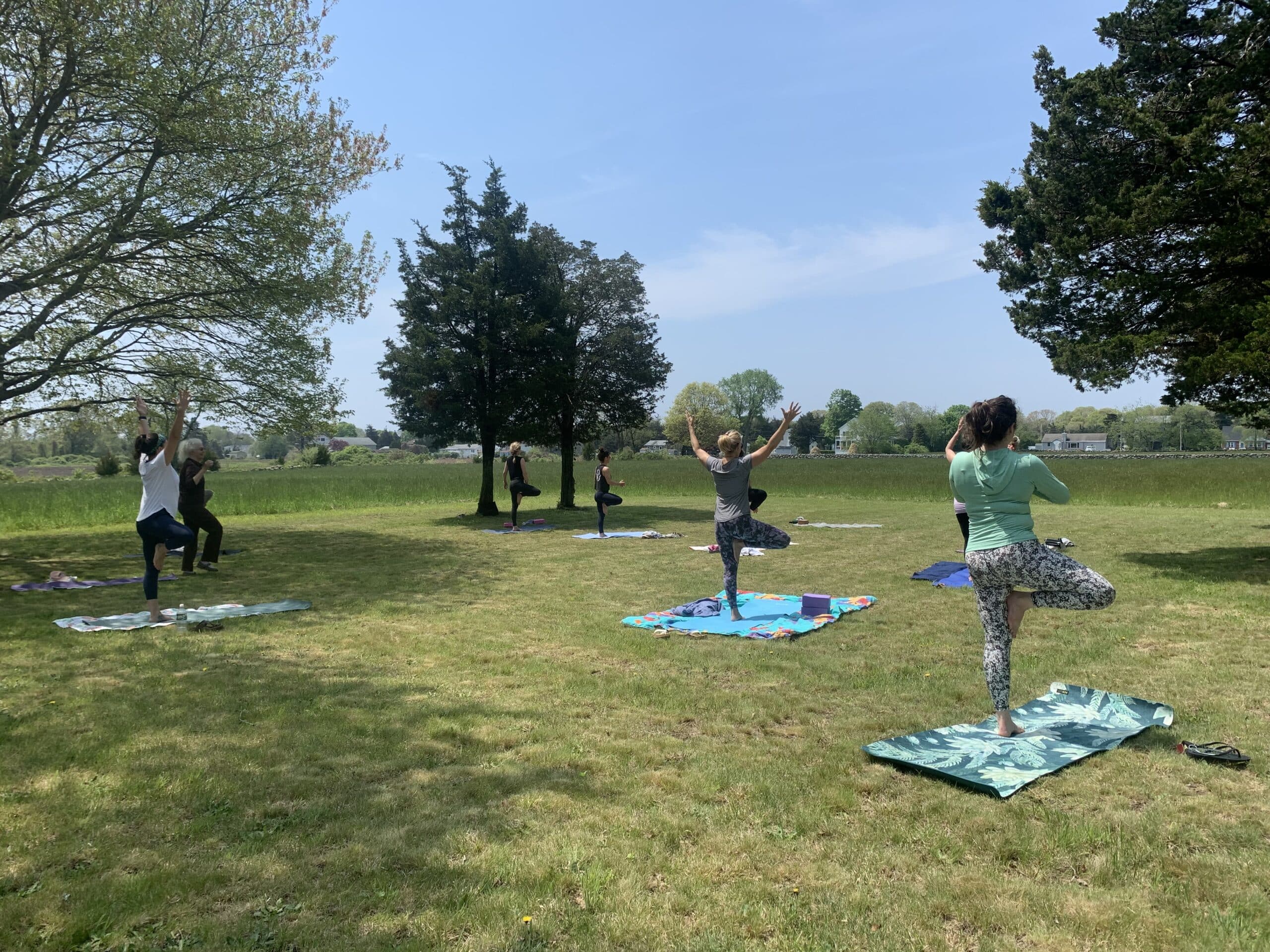 Participants in tree pose at Winnapaug Farm Preserve