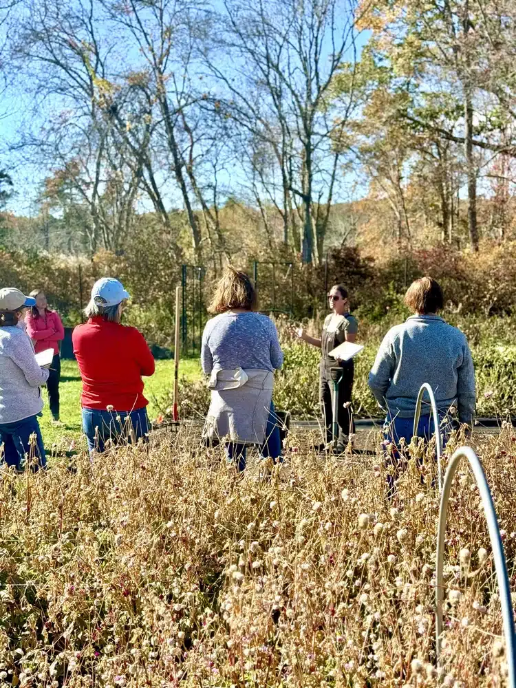 Stephanie Bennet of Echo Rock Flowers talking about dahlias in her flower field while participants listen